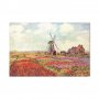 Taulu - Claude Monet – Tulip Fields with Windmill