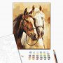 DIY kangas maalaus - Noble horses