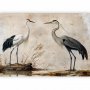 Fototapetti - Birds from an old engraving - vintage-style illustration depicting a heron and a crane