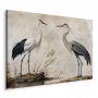 Taulu - Birds from an old engraving - vintage-style illustration depicting a heron and a crane