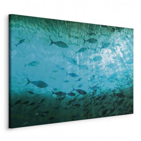 Taulu - A shoal of dark fish