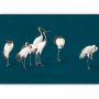Fototapetti - Evening by the pond - a group of cranes drawn in dry pastel on a dark turquoise background