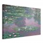 Taulu - Claude Monet – Water Lilies