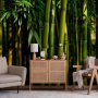 Fototapetti - Eucalyptus alley – bamboo grove in juicy green tone