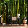 Fototapetti - Eucalyptus alley – bamboo grove in juicy green tone