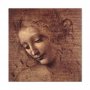 Taulu - Leonardo da Vinci – Head of a Young Woman (Leda)