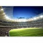Fototapetti - Football pitch - illuminated stadium with crowded stands