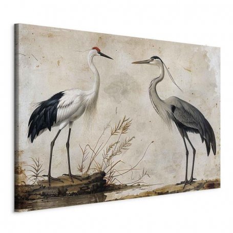 XXL-kuva - Birds from an old engraving - vintage-style illustration depicting a heron and a crane