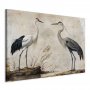 XXL-kuva - Birds from an old engraving - vintage-style illustration depicting a heron and a crane