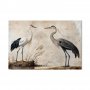 XXL-kuva - Birds from an old engraving - vintage-style illustration depicting a heron and a crane