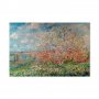Taulu - Claude Monet – Spring