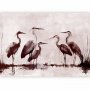 Fototapetti - Herons painted with ink