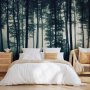 Fototapetti - Dark Forest