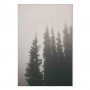 Taulu - Smell of Forest Fog (1 Part) Vertical