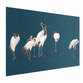 Juliste - Evening at the Pond - group of cranes drawn in dry pastel on a dark turquoise background