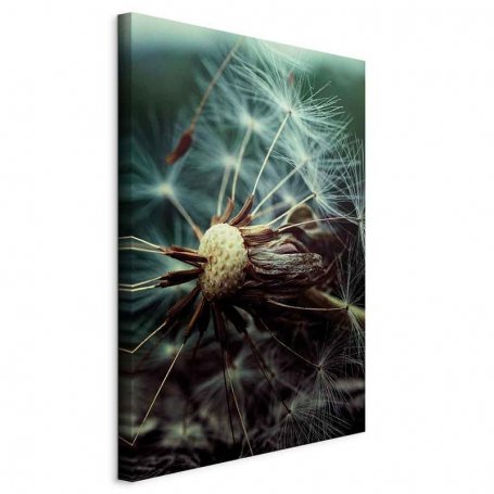 Taulu - Last Hope (1 Part) Vertical