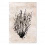 Taulu - Sea Thickets (1 Part) Vertical