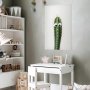 Juliste - Living Cactus