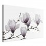 Taulu - Painted Magnolias (1 Part) Wide