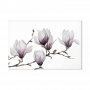 Taulu - Painted Magnolias (1 Part) Wide
