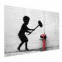Juliste - Destroy the Fire Hydrant