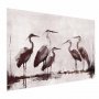 Juliste - Herons Painted in Ink