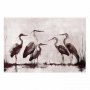 Juliste - Herons Painted in Ink