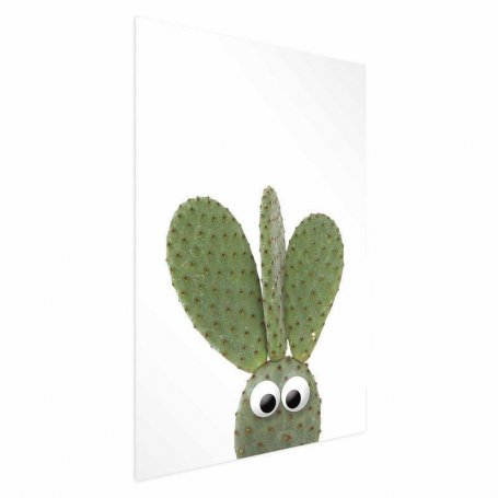 Juliste - Eared Cactus