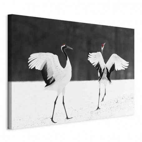 Taulu - Dancing Cranes (1 Part) Wide