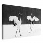 Taulu - Dancing Cranes (1 Part) Wide