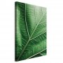 Taulu - Malachite Leaf (1 Part) Vertical