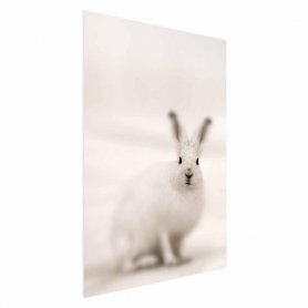 Juliste - Fearful Look