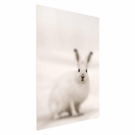 Juliste - Fearful Look