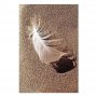 Taulu - Feather on the Sand (1 Part) Vertical
