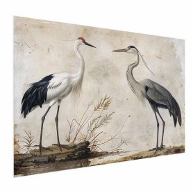Juliste - Birds from an Old Engraving - vintage-style illustration of a heron and a crane