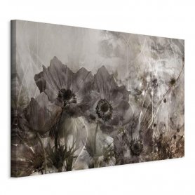 Taulu - Anemones in Sepia (1 Part) Wide