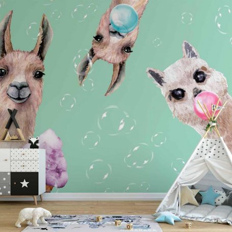 Fototapetti - Crazy Llamas