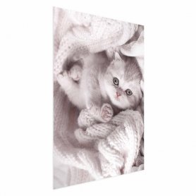 Juliste - Lover of Rest