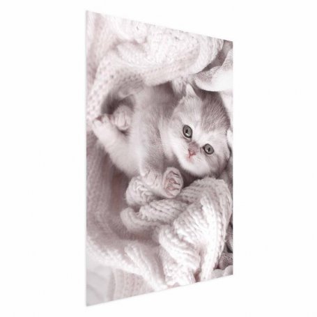 Juliste - Lover of Rest