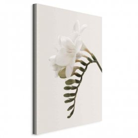 Taulu - Spring Headdress (1 Part) Vertical