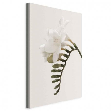 Taulu - Spring Headdress (1 Part) Vertical