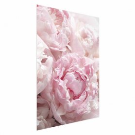 Juliste - Morning Nostalgia