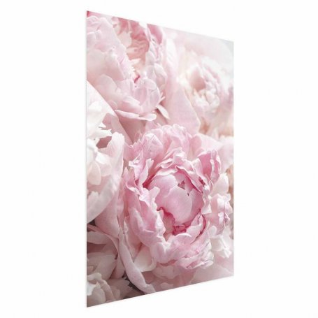 Juliste - Morning Nostalgia