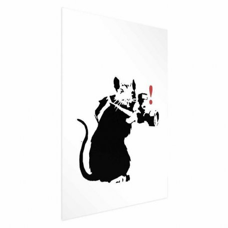 Juliste - Photographer Rat