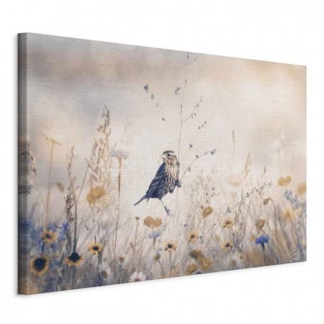 Taulu - August Melody