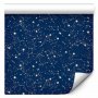 Tapetti - Cosmic Inspirations - Pattern with Stars and Constellations on a Dark Background
