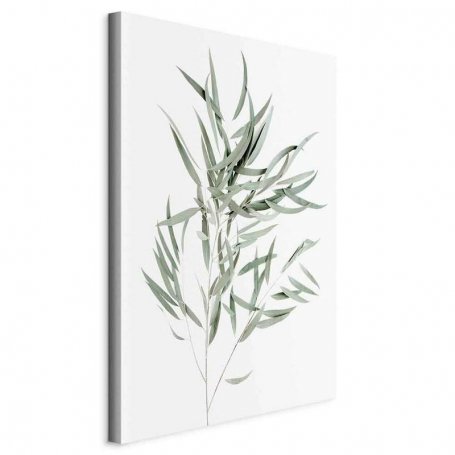 Taulu - Nicholia Eucalyptus (1 Part) Vertical