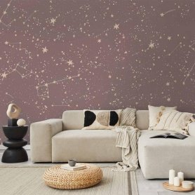 Fototapetti - Night Sky - Artistic Constellations and Stars in Pastel Shades