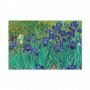 Taulu - Vincent Van Gogh – Iryses