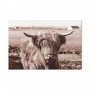Taulu - A Scottish Cow in Sepia
